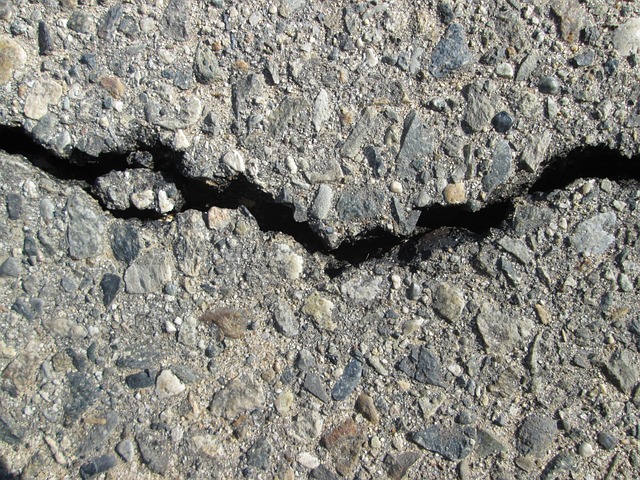 can-pavement-ants-cause-structural-damage